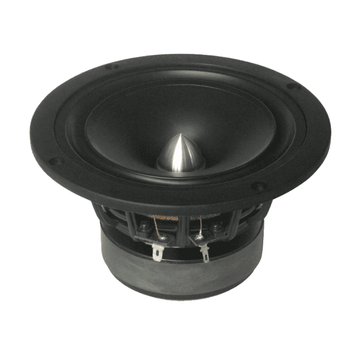 Tang Band W5-1880 5 inch 6.3 ohm loudspeaker driver view 9
