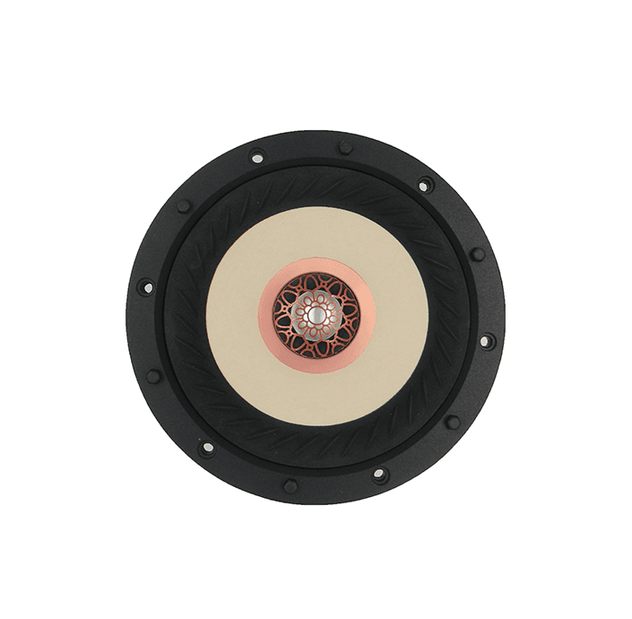 Tang Band W6-2313 6 inch 4 ohm loudspeaker driver similar driver