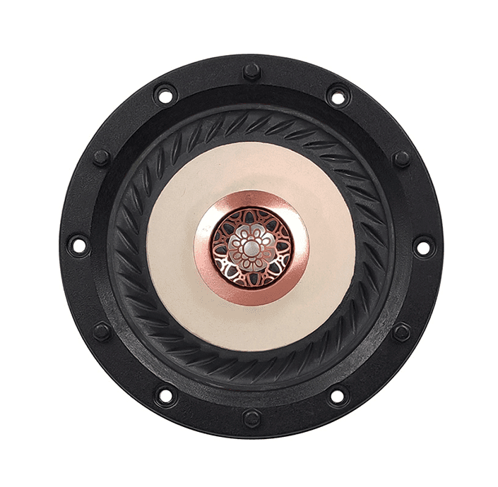 Tang Band W4-2315 4 inch 4 ohm loudspeaker driver view 2