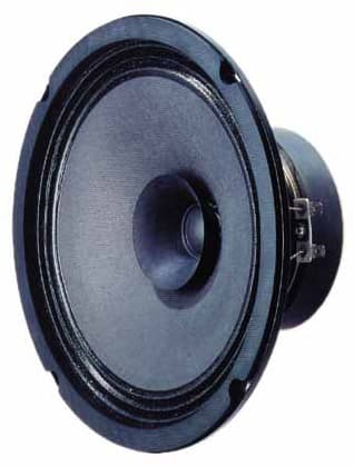 Visaton BG 20 - 8 OHM 8 inch 8 ohm loudspeaker driver view 1